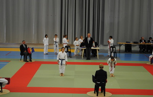 Championnat de l'Ain 2013-2014