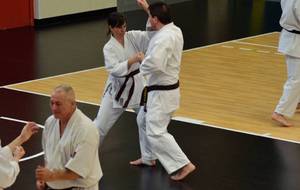 54fc074699d66_PXRstagekarate135.JPG