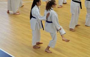 54fc074c4d327_PXRstagekarate136.JPG