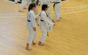 54fc083660bbe_PXRstagekarate137.JPG