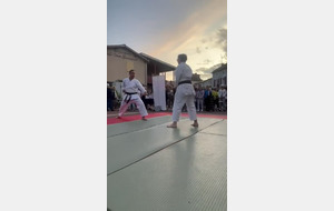 Kihon ippon
