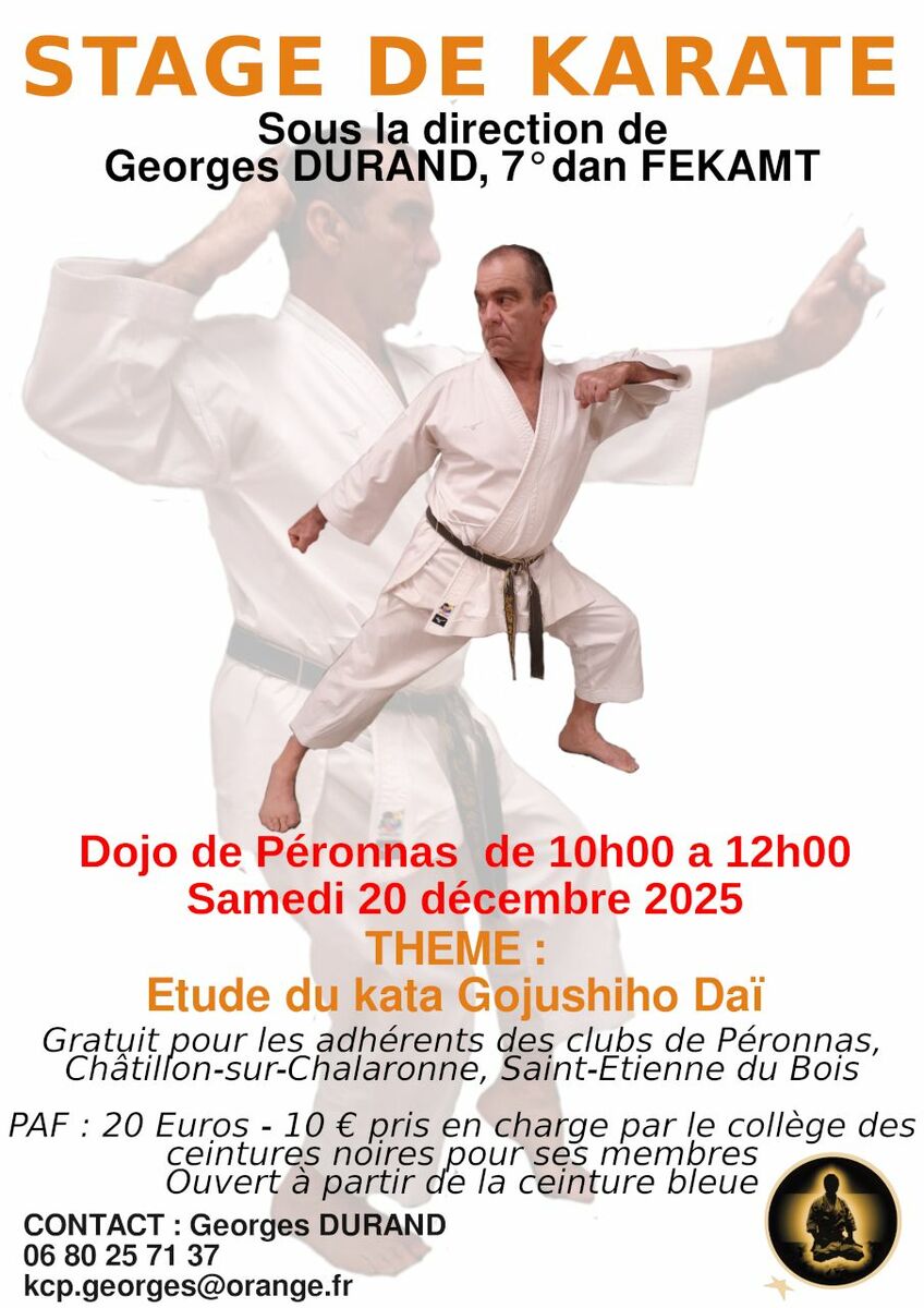 Stage GOJUSHIHO DAI et ses applications à Péronnas