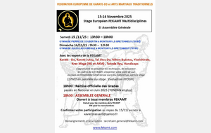 Stage Multidiscipline : Montigny le bretonneux