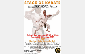 Stage GOJUSHIHO DAI et ses applications à Péronnas