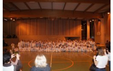 Les petits tigres Châtillon 2012
