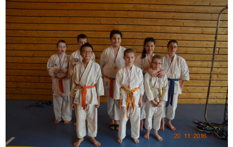 Compétition Interclub du 20 nov 16 à Meximieux