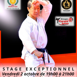 Stage Kagawa 9eme DAN - Péronnas